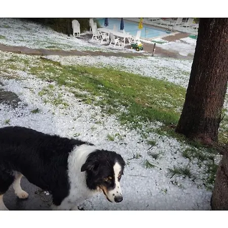 Limberghof Hotel Zell am See